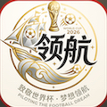 领航国际